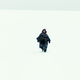 Image for article titled Kumiko The Treasure Hunter dramatizes an urban legend of Fargo fandom